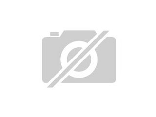 Ich suche Prager Rattler Zwergpinscher oder ähnliches.